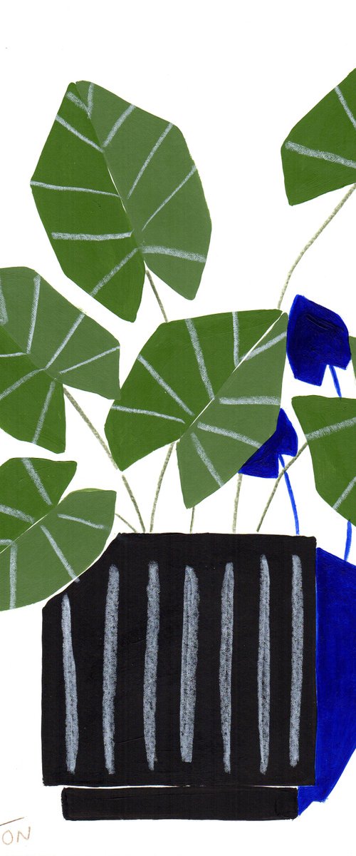 Abstract Plants 16 by Marisa Añón