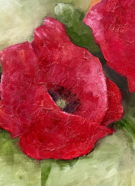 Poppies