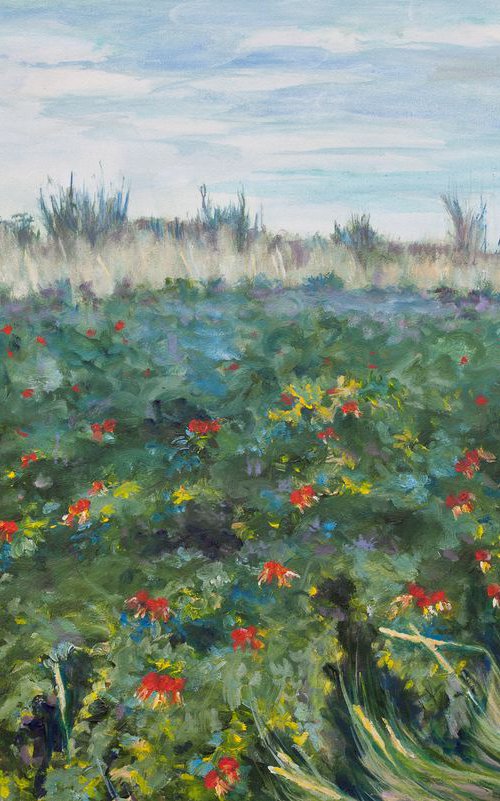 Rosehip Shore by Liudmila Pisliakova