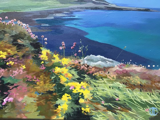 Spring Flowers On The Antrim Coast