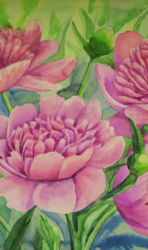 Pink peonies by Julia Gogol