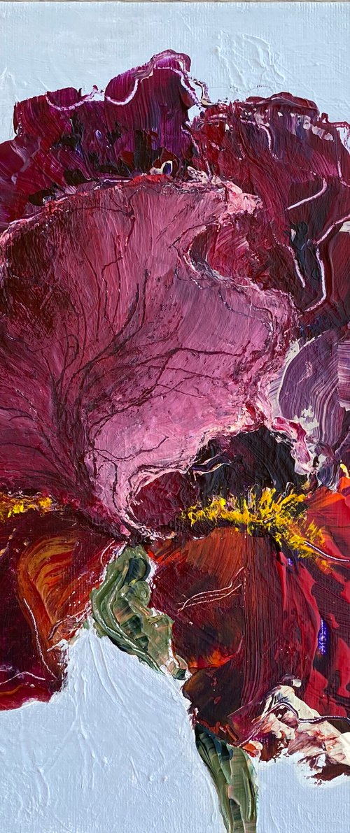 Iris on gray original painting on canvas flower by Oksana Petrova
