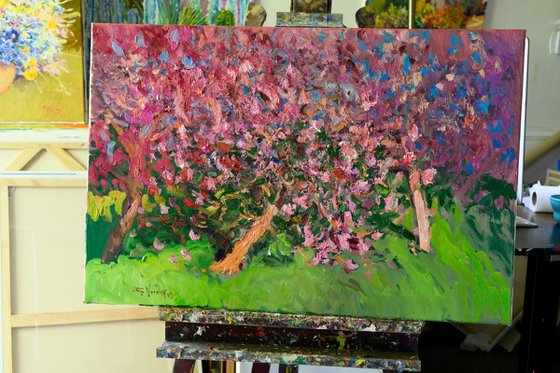 Blooming Peach Trees