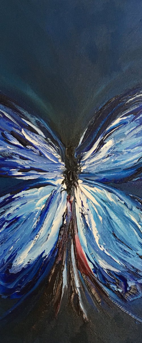 Blue Butterfly by Timea  Valsami