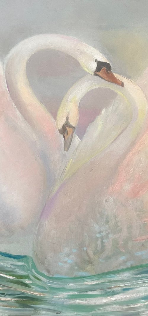 Swans of Love by Fosco Culto