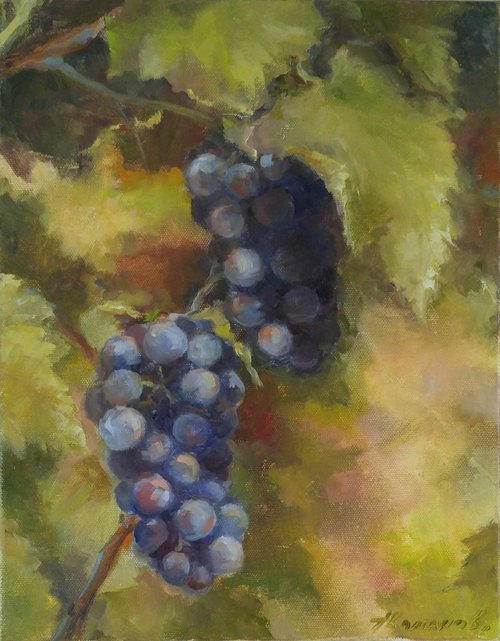 Grapes 2 11x14'' by Alexander Koltakov
