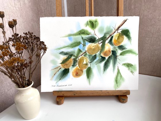 Apricots watercolor original art fruit on the tree medium decor for busines art gift for her