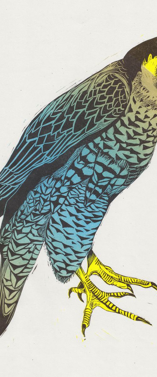 Falcon by Georgia Flowers