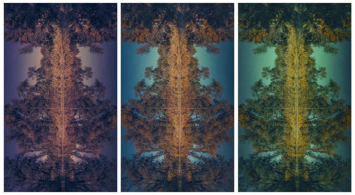 Impressionistic Landscape Photograph By Valerix, 18 X 30", Shades Of Autumn Spirit., Original Artwork