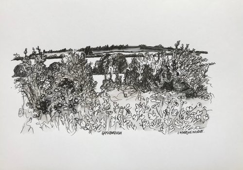 English Landscape - trees hedges fields hills - Buckinghamshire. by Catherine Winget