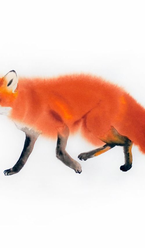 Sly Fox by Olga Beliaeva Watercolour