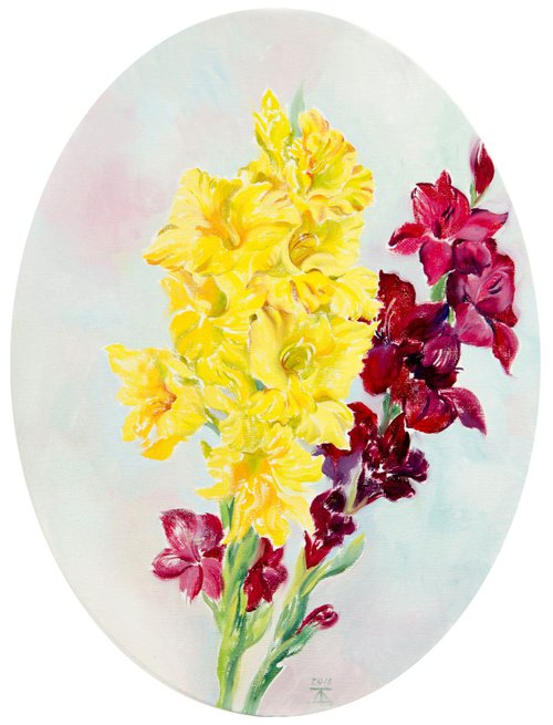 Red and yellow gladiolus by Daria Galinski