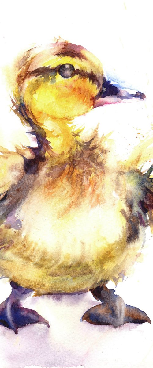 Duckling by Anjana Cawdell