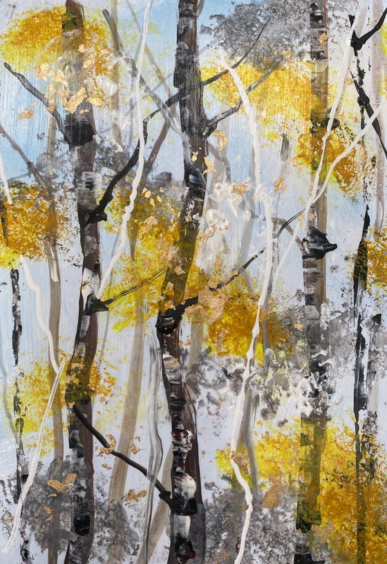 Silver Birch Trunks 1
