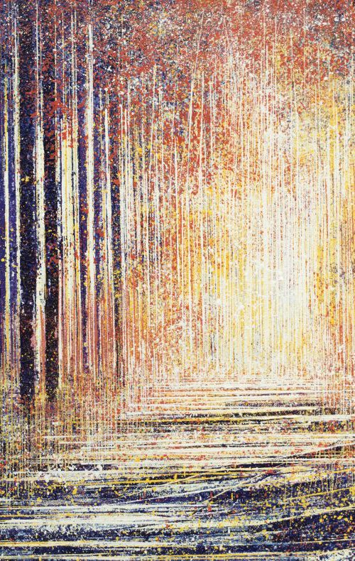 Soft Evening Light Through Trees by Marc Todd