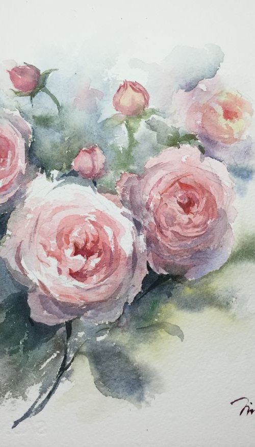 Roses by Jing Chen