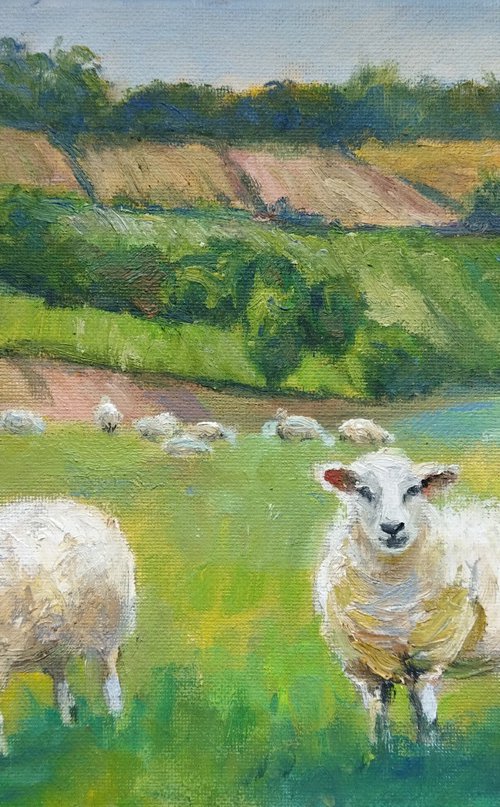 Sheep in the Green Hills by Ann Krasikova