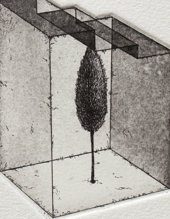 THE MEMORY OF DOMESTIC SPACE