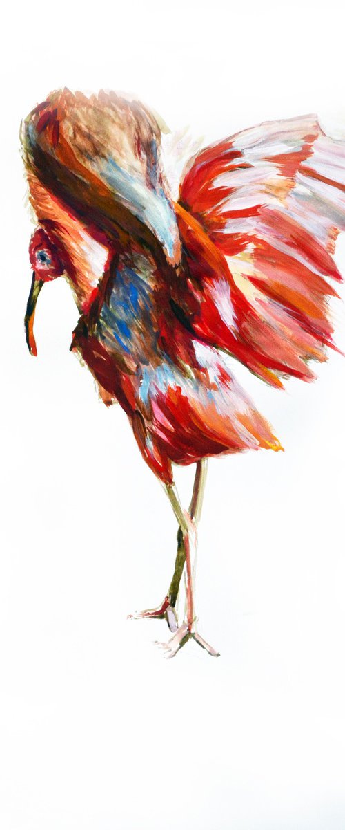 Fancy Ibis - bird painting by Anna Brazhnikova
