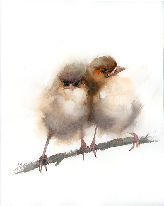 Pair of Wrens