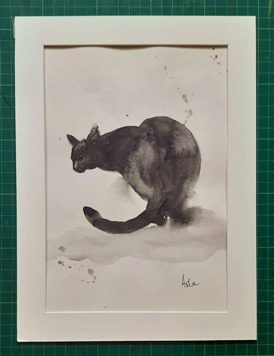 The Black Cat Crouching