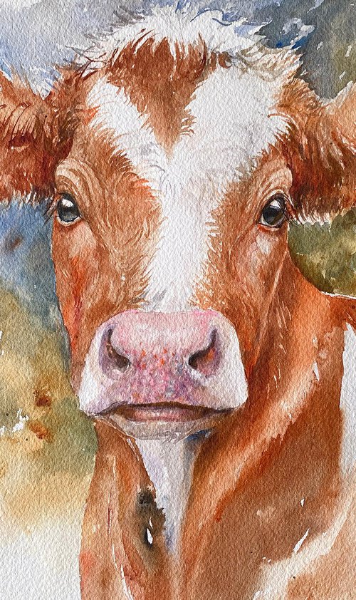 Buttercup_Cow by Arti Chauhan