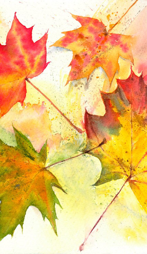 Maple leaf rag by Anjana Cawdell