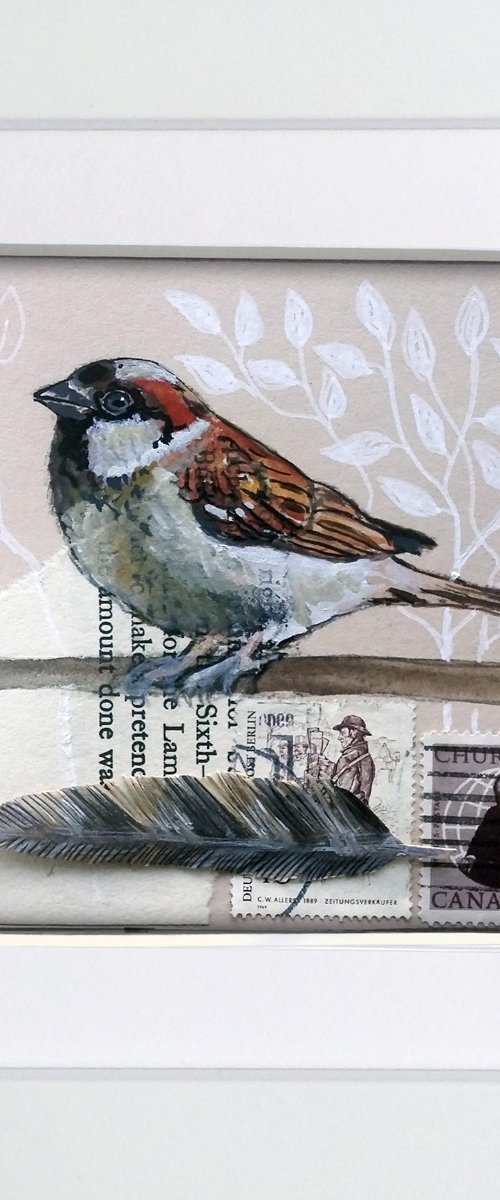 The sparrow feather  (framed and ready to hang) by Carolynne Coulson