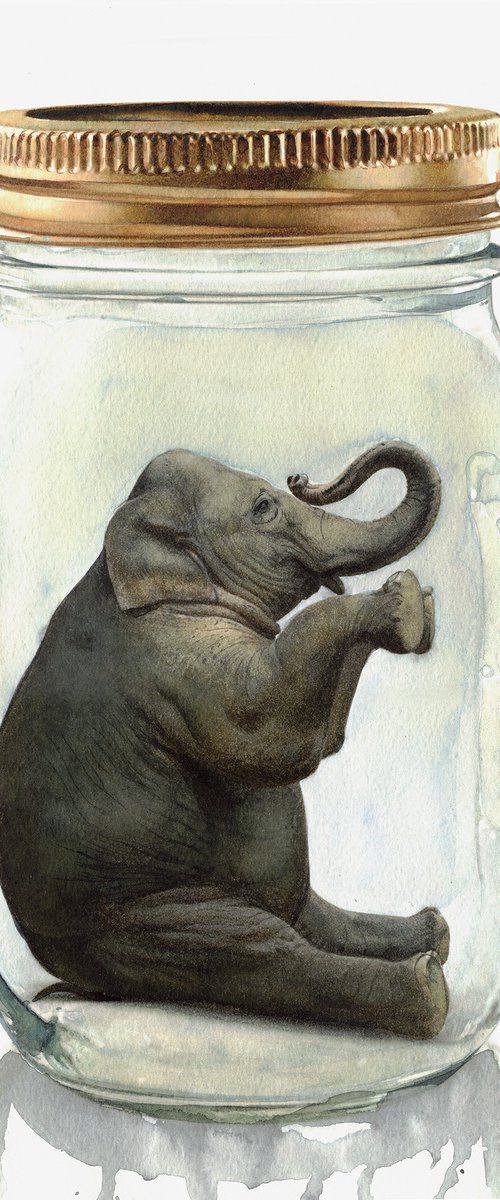 Elephant in Jar III by REME Jr.