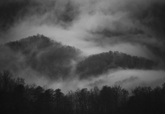 Mountain mist, NC, USA