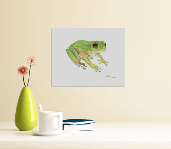 frog watercolor illsutration