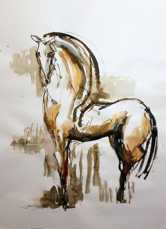 Horse 7