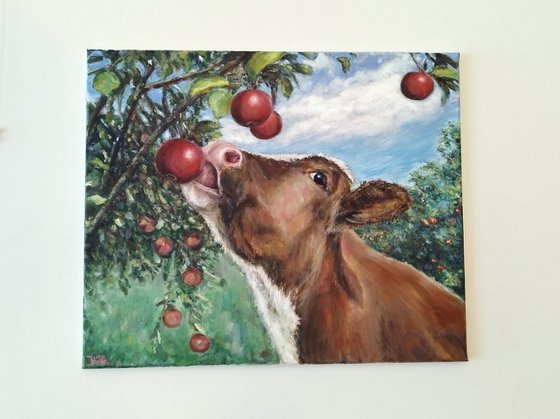Cow In Orchard