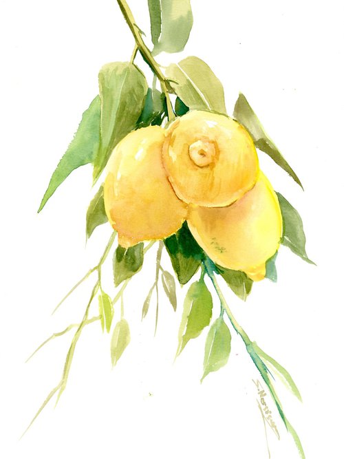 Lemon Tree by Suren Nersisyan