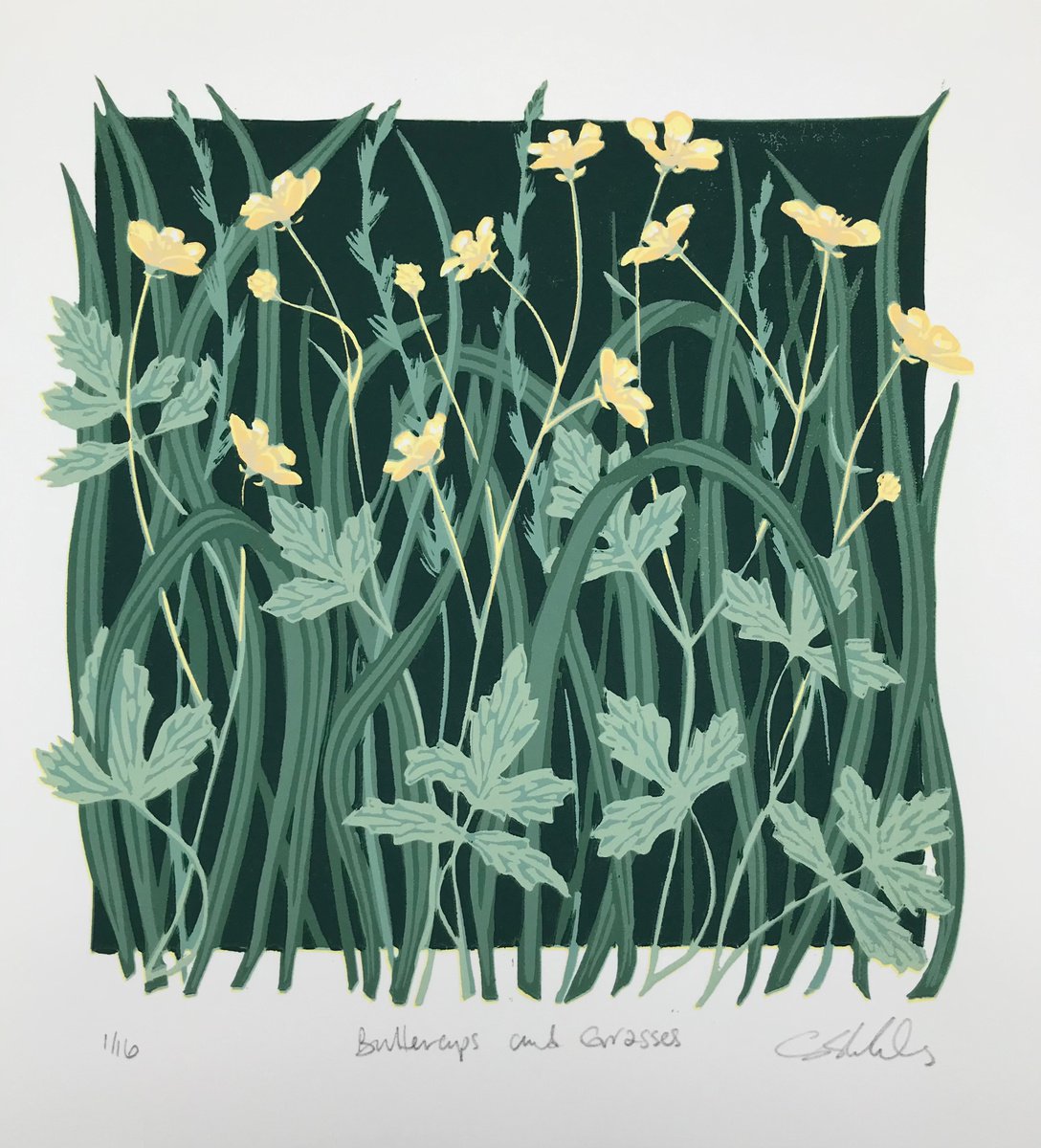 Buttercups and grasses by Gerry Coles