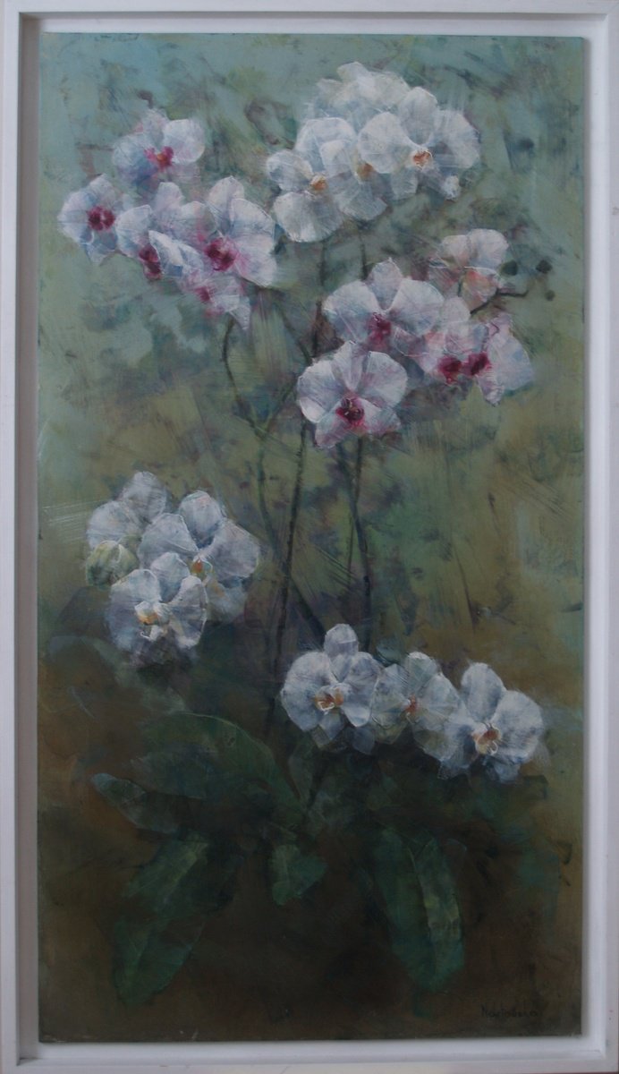 Orchids by Iwona Nartowska O’Reilly