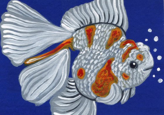 ACEO ATC Original Miniature Painting Oranda Goldfish Pet Art-Carla Smale