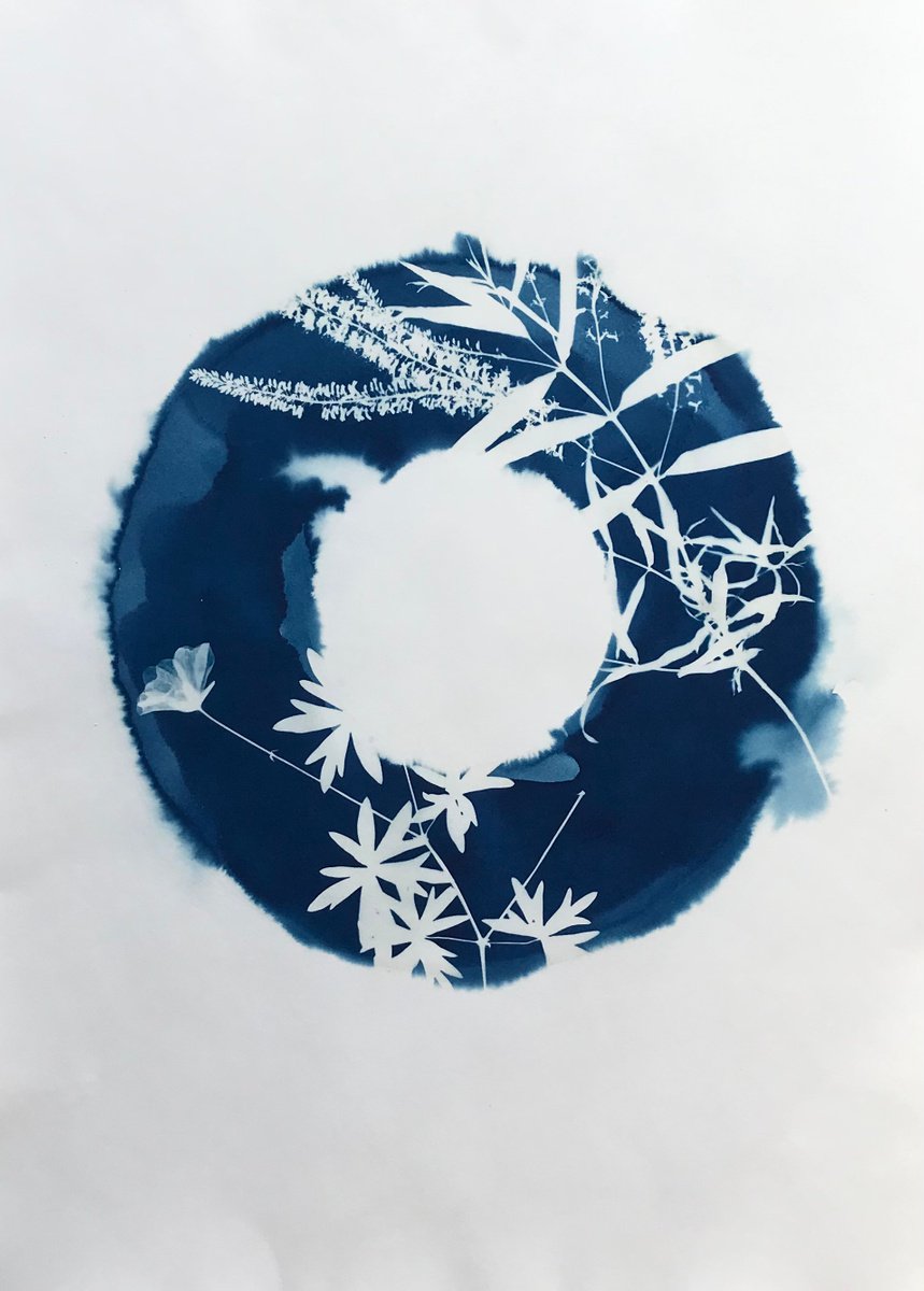 Cyanotype with Garden Flowers 26 by Jayne Simmonds
