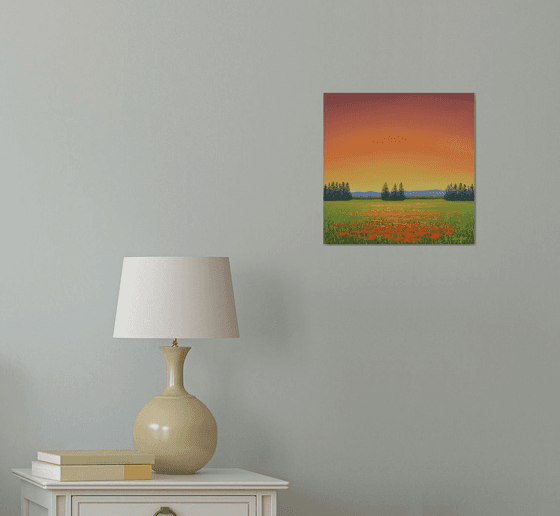 Orange Poppies in Bloom