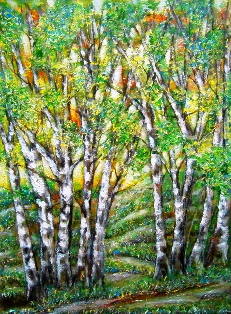 Birches in spring .. by Em�lia Urban�kov�