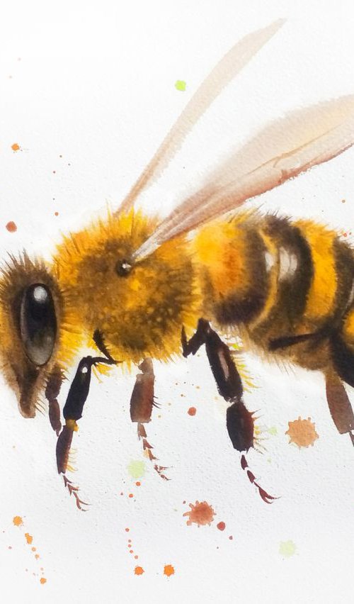 Bee - Bee watercolor painting by Olga Beliaeva Watercolour