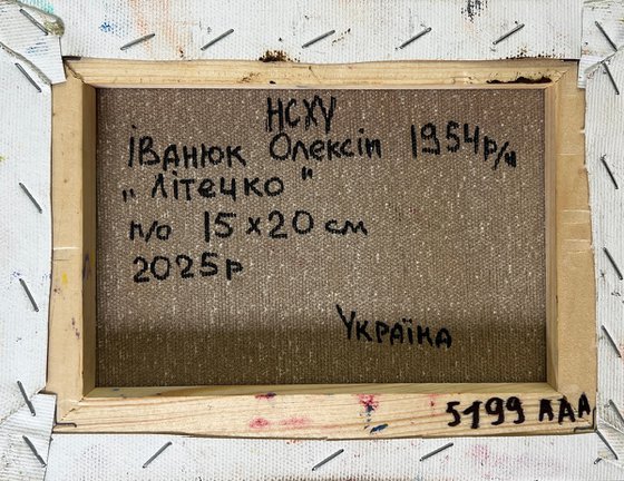 Summer evening in the forest