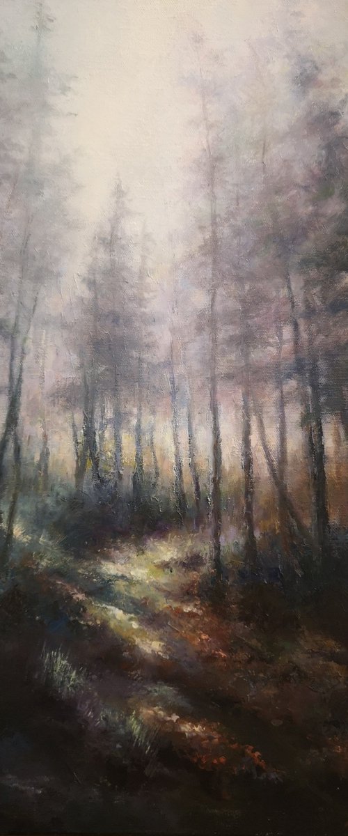 Grizedale Forest Evening Light Through the Trees, Lake District by Hannah Kerwin