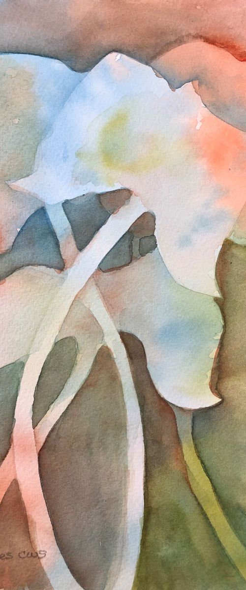 Harmony by Bronwen Jones