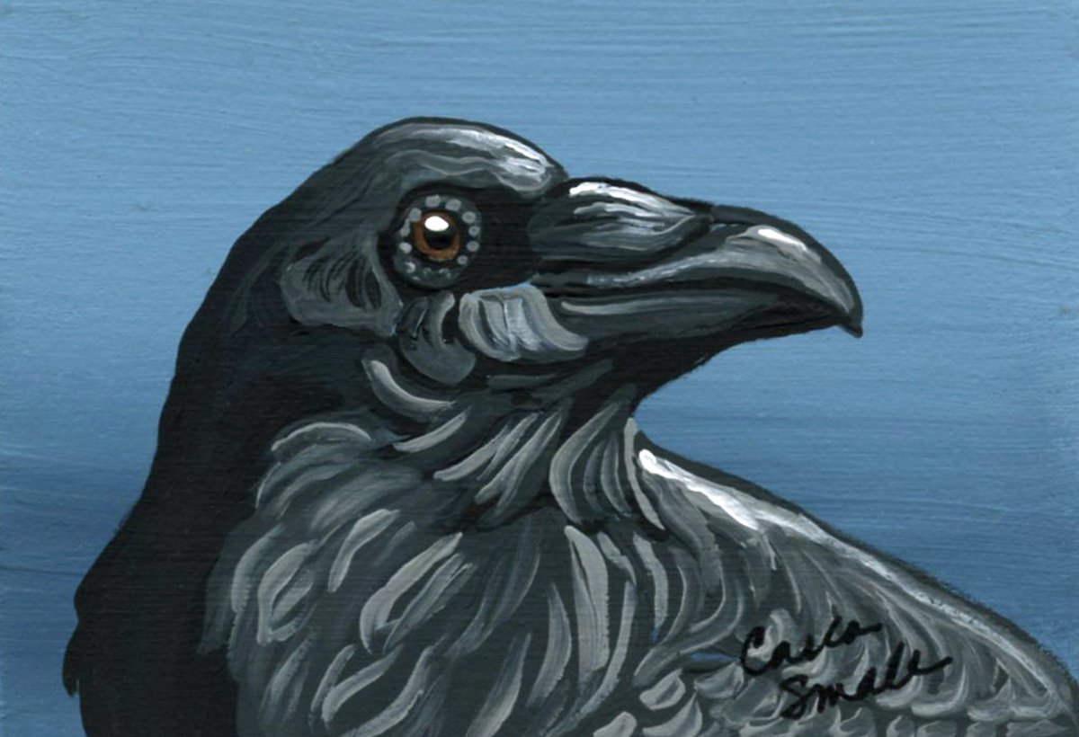 Crow Raven by Carla Smale