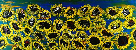 Blooming sunflowers 3