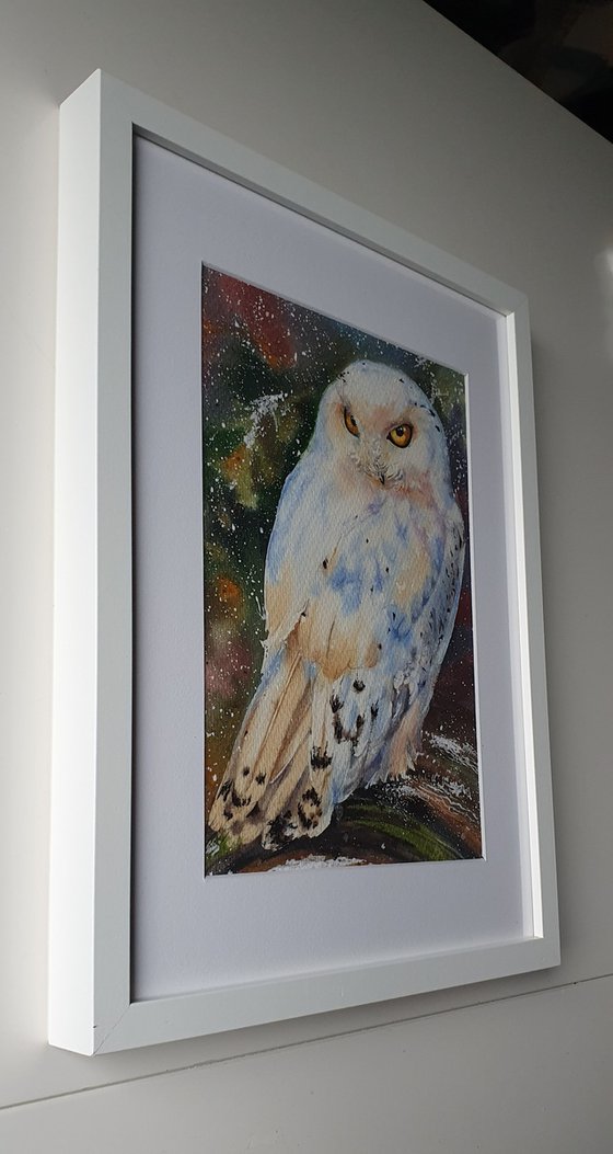 White owl (First snow in the old forest)