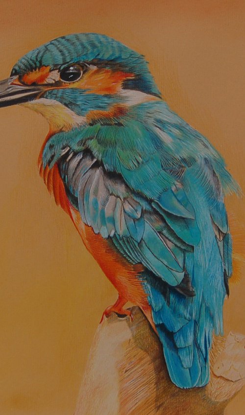 Kingfisher by Benjamin Self