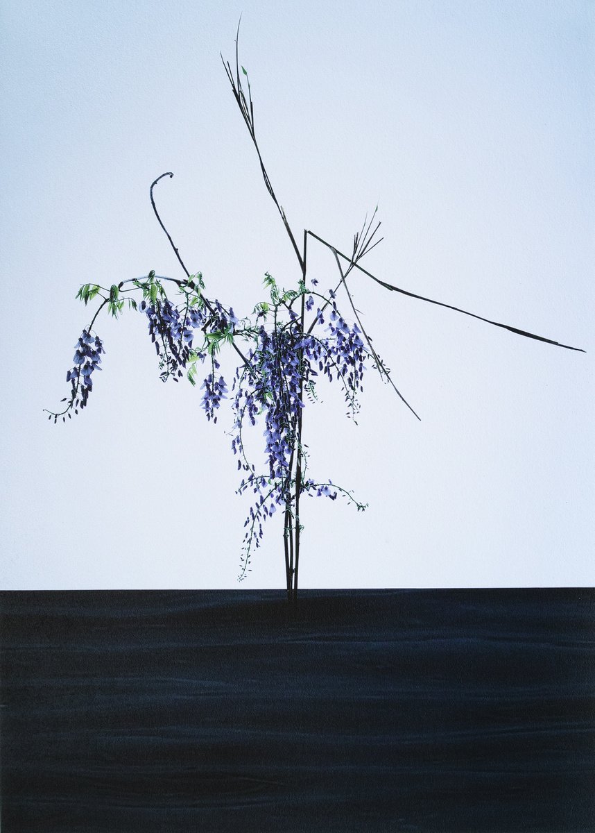 Water Scenery #001-Wisteria flowers, Bamboo- by Keiichiro Muramatsu