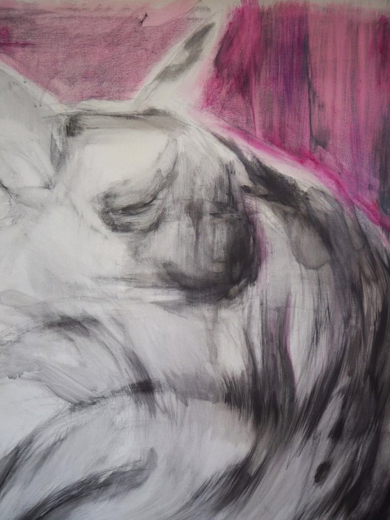 No title II (Hyenas)